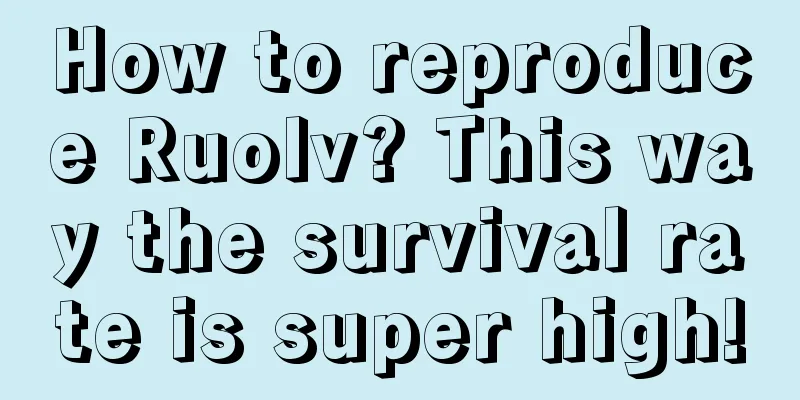 How to reproduce Ruolv? This way the survival rate is super high!