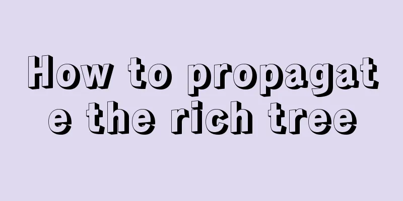 How to propagate the rich tree