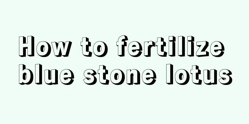 How to fertilize blue stone lotus