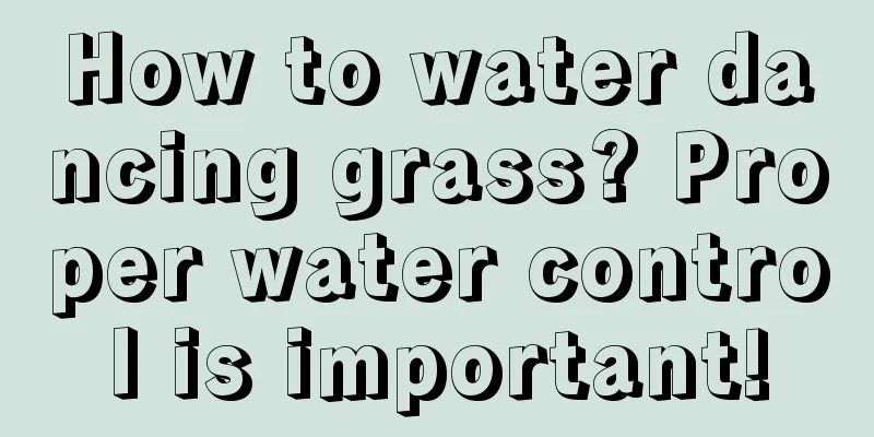 How to water dancing grass? Proper water control is important!