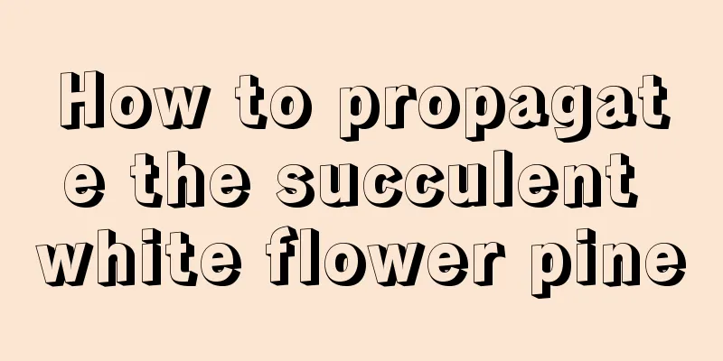 How to propagate the succulent white flower pine