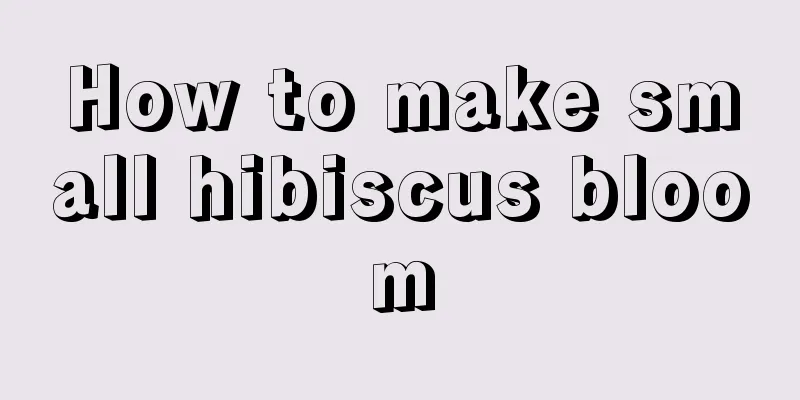 How to make small hibiscus bloom