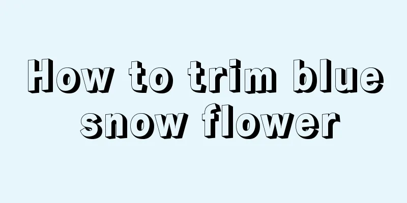 How to trim blue snow flower