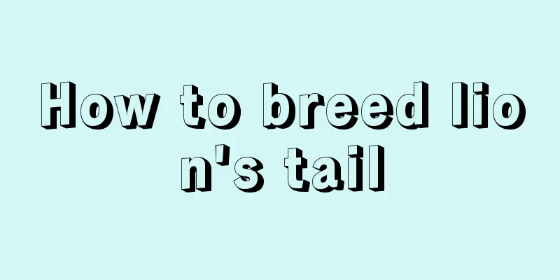 How to breed lion's tail