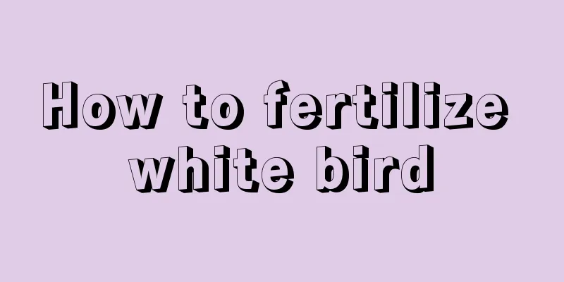 How to fertilize white bird