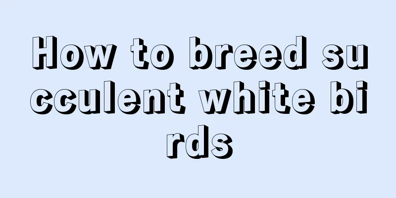 How to breed succulent white birds