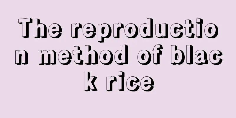 The reproduction method of black rice