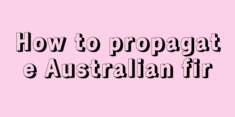 How to propagate Australian fir