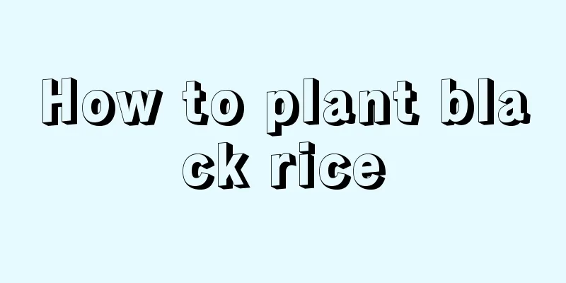 How to plant black rice