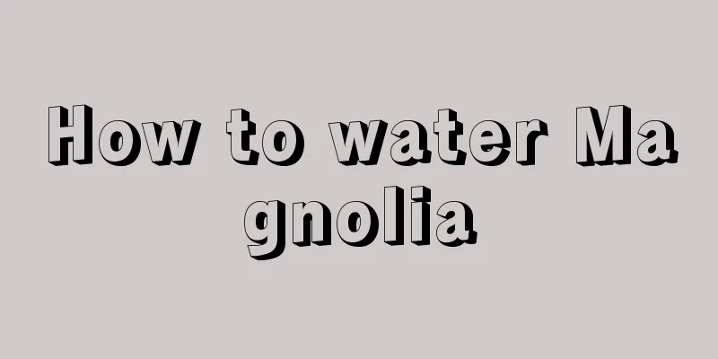 How to water Magnolia