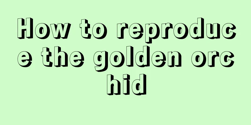 How to reproduce the golden orchid