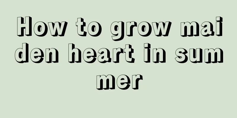 How to grow maiden heart in summer