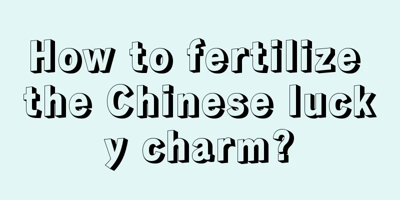 How to fertilize the Chinese lucky charm?