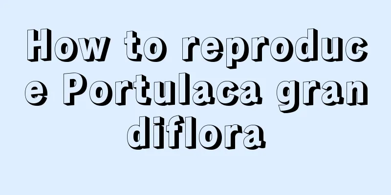 How to reproduce Portulaca grandiflora