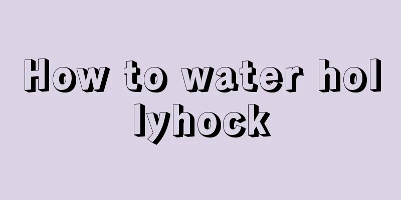 How to water hollyhock