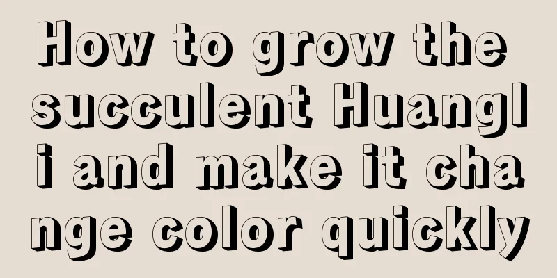 How to grow the succulent Huangli and make it change color quickly