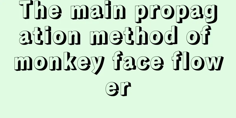 The main propagation method of monkey face flower