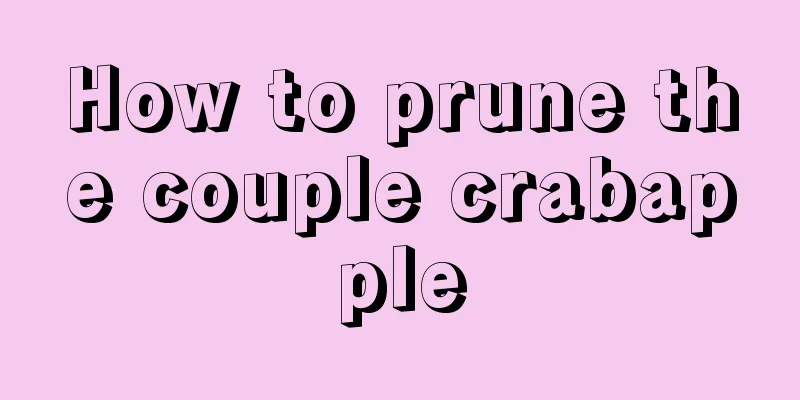 How to prune the couple crabapple