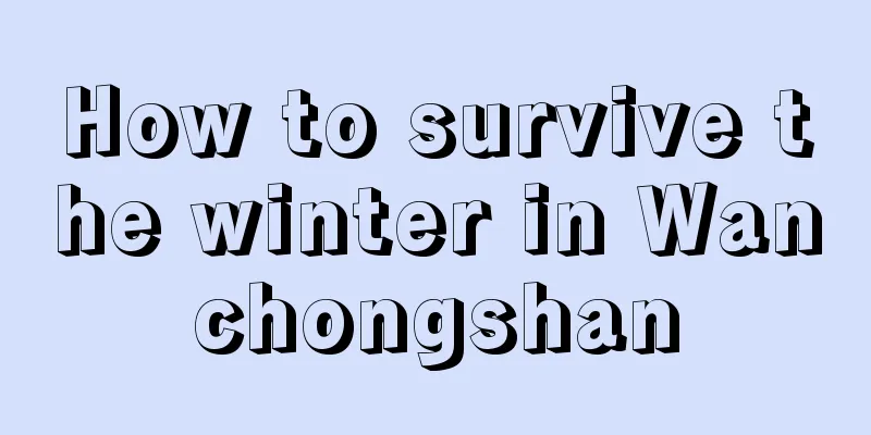 How to survive the winter in Wanchongshan