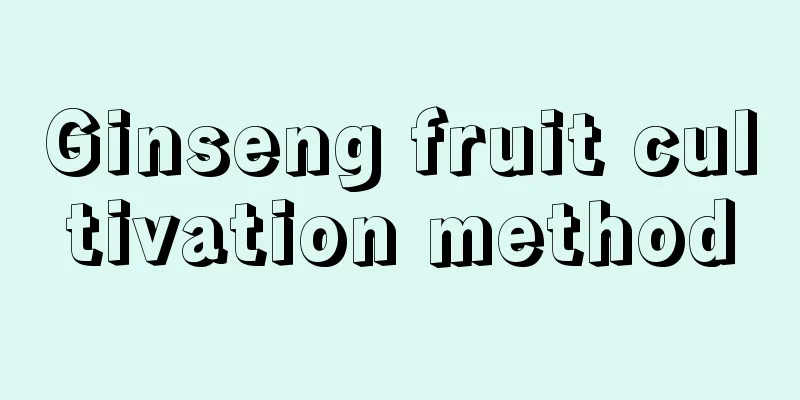 Ginseng fruit cultivation method