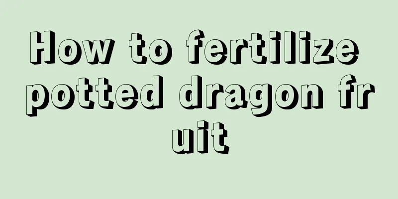 How to fertilize potted dragon fruit