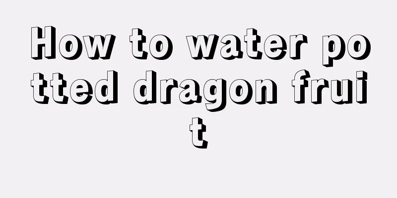 How to water potted dragon fruit