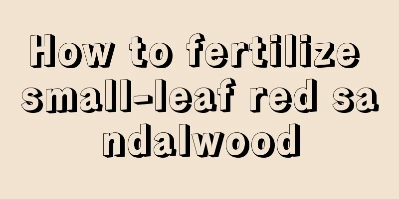 How to fertilize small-leaf red sandalwood