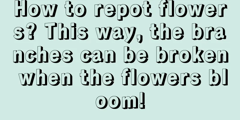 How to repot flowers? This way, the branches can be broken when the flowers bloom!