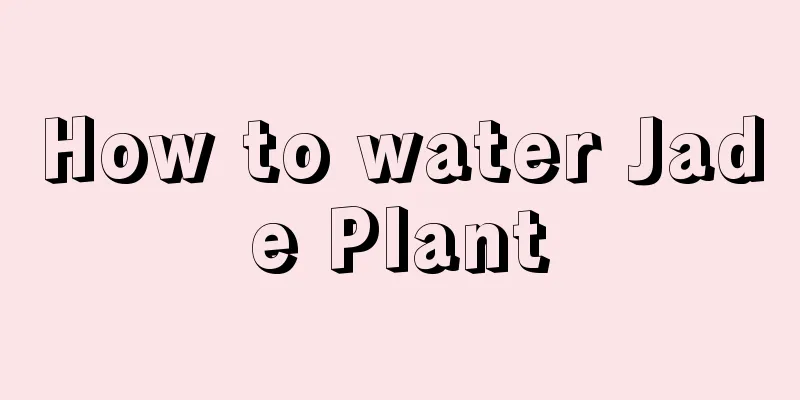 How to water Jade Plant