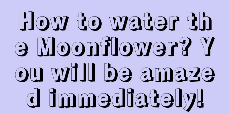 How to water the Moonflower? You will be amazed immediately!