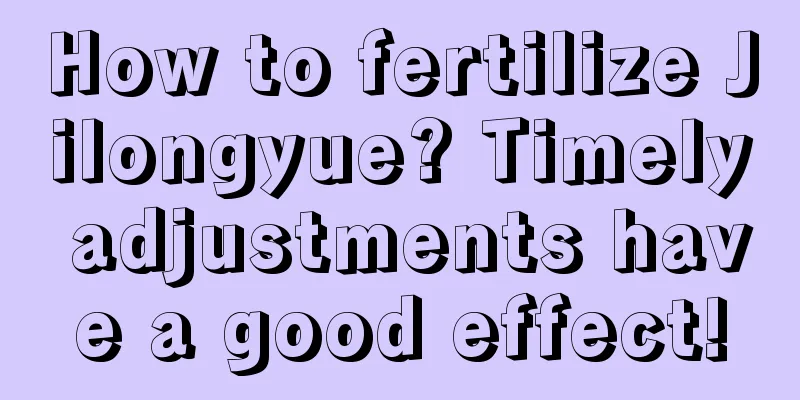 How to fertilize Jilongyue? Timely adjustments have a good effect!