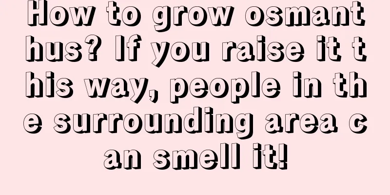 How to grow osmanthus? If you raise it this way, people in the surrounding area can smell it!