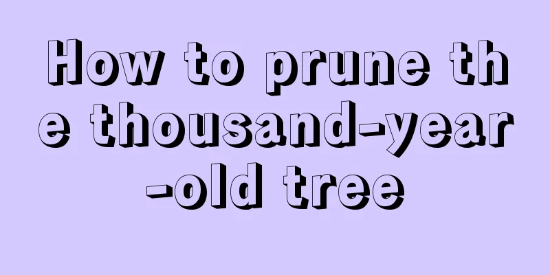 How to prune the thousand-year-old tree