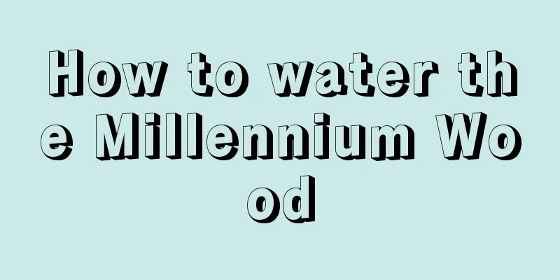 How to water the Millennium Wood