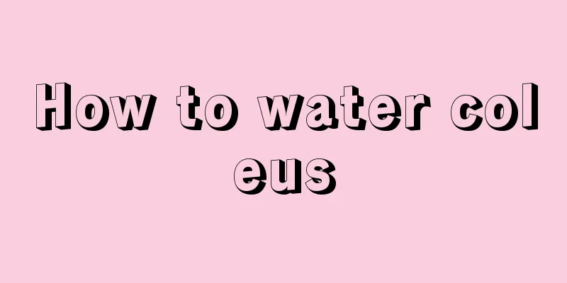 How to water coleus