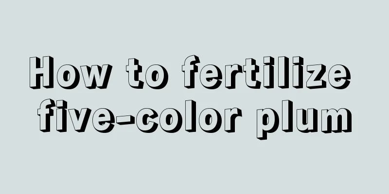 How to fertilize five-color plum