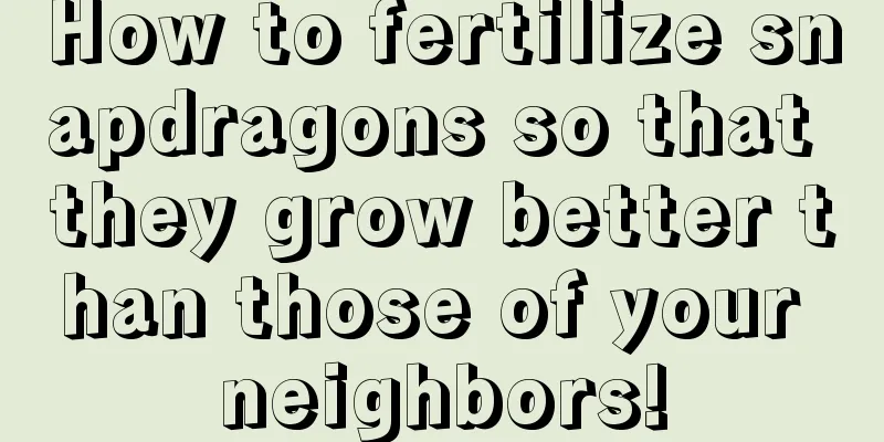 How to fertilize snapdragons so that they grow better than those of your neighbors!