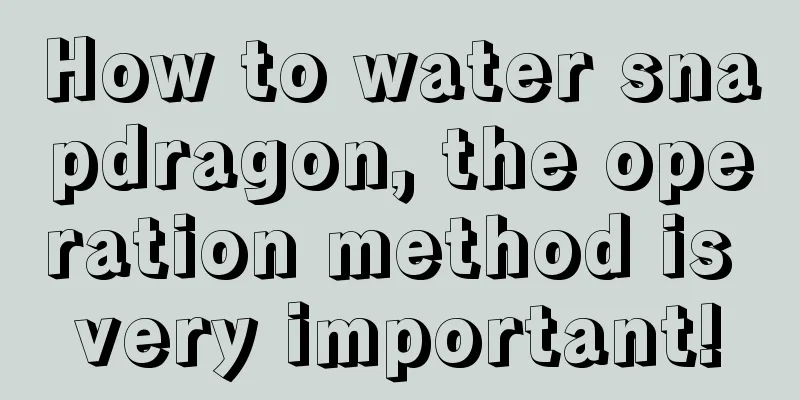 How to water snapdragon, the operation method is very important!