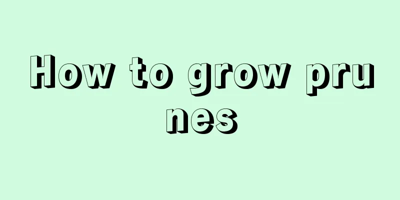 How to grow prunes