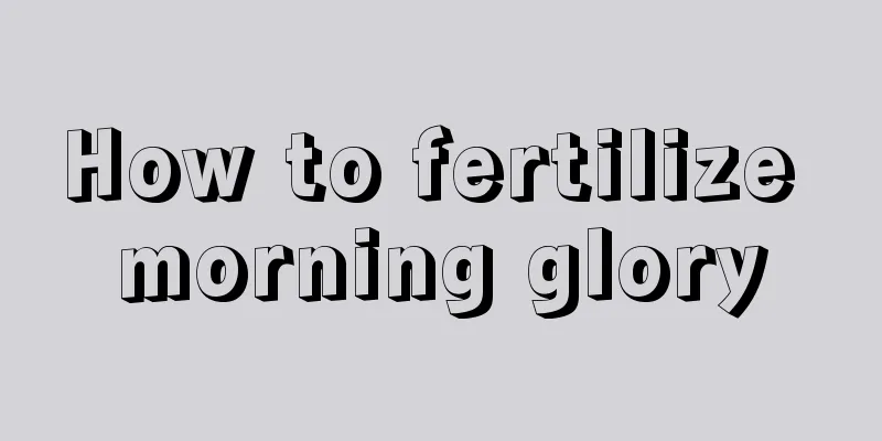 How to fertilize morning glory