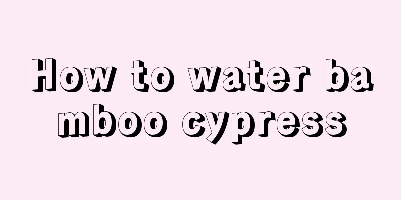 How to water bamboo cypress