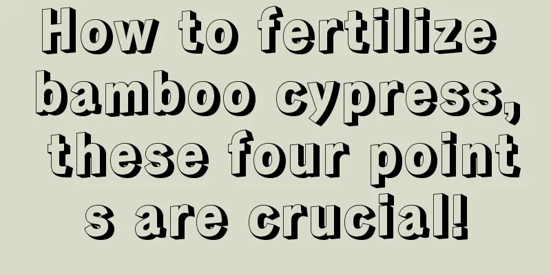 How to fertilize bamboo cypress, these four points are crucial!