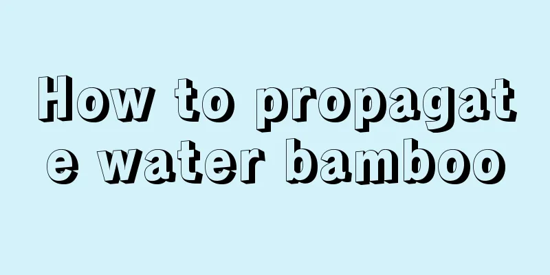 How to propagate water bamboo