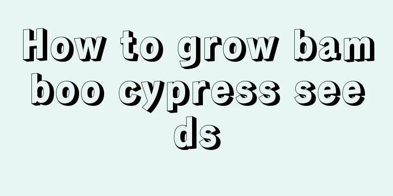 How to grow bamboo cypress seeds