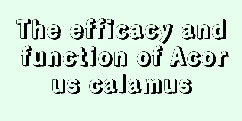 The efficacy and function of Acorus calamus