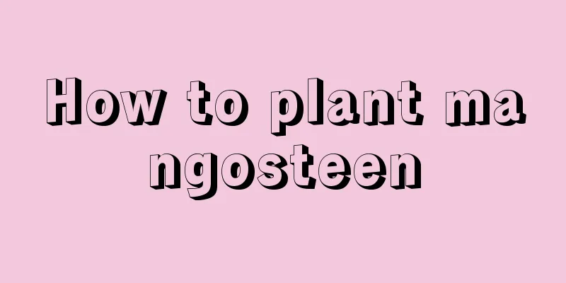 How to plant mangosteen