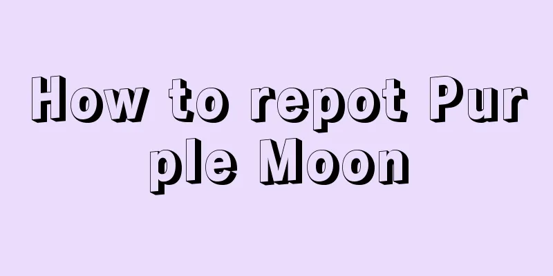 How to repot Purple Moon