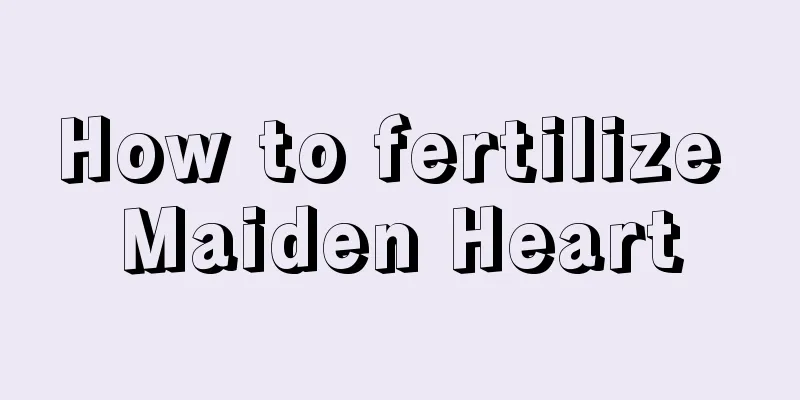 How to fertilize Maiden Heart