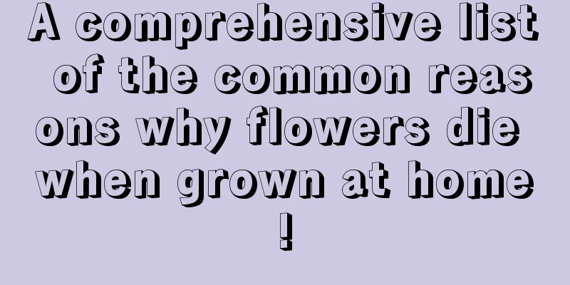 A comprehensive list of the common reasons why flowers die when grown at home!