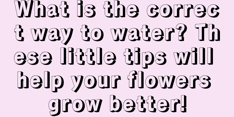 What is the correct way to water? These little tips will help your flowers grow better!